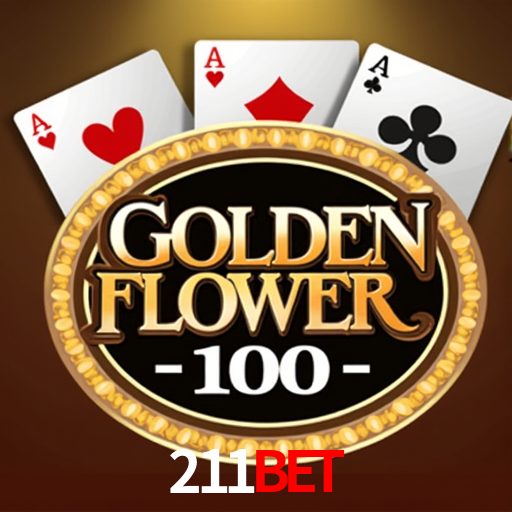 Interface Premium 211bet