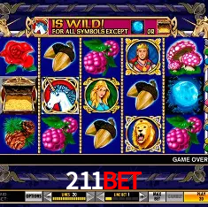 Apostas Esportivas na 211bet: Um Guia Completo